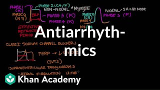 Antiarrhythmics  Circulatory System and Disease  NCLEXRN  Khan Academy [upl. by Couchman]