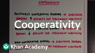 Cooperativity  Biomolecules  MCAT  Khan Academy [upl. by Laurentia]