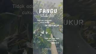 fangu terbaik [upl. by Truelove370]