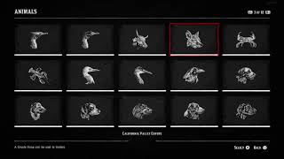 Red Dead Redemption 2 Complete List of Every Animal Skin Deep amp Zoologist TrophyAchievement [upl. by Aufmann524]