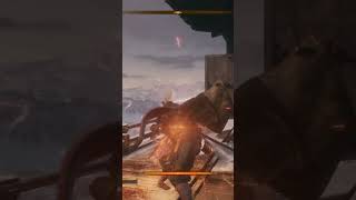 This Video Might Be Infuriating For Sekiro Players [upl. by Pelage649]