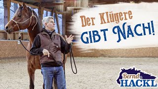 Nachgiebigkeit beim Pferd  So gehts  Bernd Hackl erklärt 🐴 [upl. by Fiester]