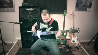 Francesco Carcano playing on quotCose della vitaquot Eros Ramazzotti amp Tina Turner bass cover [upl. by Yeleek]