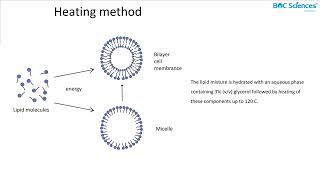 Liposome Preparation 1 [upl. by Carn]