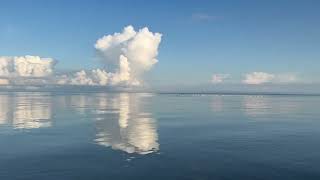 Чудское озероПсковское море вечером и утром Lake Peipsi in the evening and in the morning [upl. by Vlad]