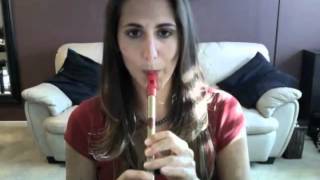 Chronicles of Narnia  Tin Whistle Tutorial [upl. by Tallu623]