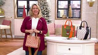 Bouffants amp Broken Hearts Mini Tote Crossbody on QVC [upl. by Koeppel]