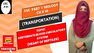 Ch14  Lec 21  VERTEBRATE BLOOD CIRCULATORY SYSTEMHeart Of ReptilesFSc Bio part 1riffatjahan [upl. by Adelia]