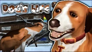 local dog terrorizes small town with rancid stench  Dogs Life [upl. by Maiah512]