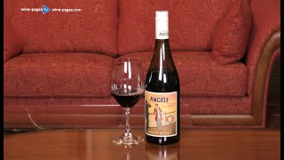 Review of La Belle Angèle Pinot Noir 2019 from France [upl. by Namrehs]