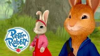 Peter Rabbit  Run Rabbit Run  Sing Along  Cartoons for kids [upl. by Eah228]