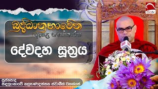 දේවදහ සූත්‍රය  2024 07 20  Esala poya [upl. by Sheley]