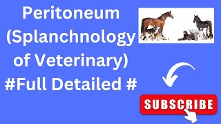 PeritoneumVeterinary AnatomySplanchnology of Veterinary [upl. by Dayna793]