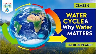 🌧️ वाटर साइकिल  जल चक्र  Water Cycle Explained in Hindi  Dr Binocs Show  WaterCycle [upl. by Arden]