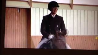 Stephen Colbert on Dressage [upl. by Russia]