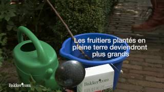 Comment planter un Fruitier [upl. by Etnaled]