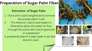 Fibre and Lignocellulosic sugar palm 1 [upl. by Drusilla]