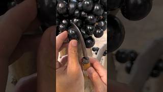 Jaboticaba fruit farm and cutting so fresh fruit fresh 2024 farming trending viralshorts [upl. by Eglantine]