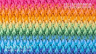 HOW to CROCHET ALPINE STITCH  Stitchorama by Naztazia [upl. by Ttelrats]