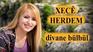 Xecê Herdem Divane Bülbül Akustik [upl. by Lleral]