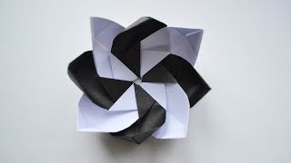 Wonderful Black and White Flower Paper Origami Tutorial DIY [upl. by Madi]