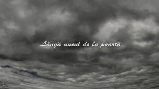 Pasha Parfeni  Acasa Official lyrics video [upl. by Antoinetta540]