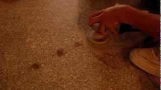 How Filling Terrazzo Floor Holes [upl. by Zina]