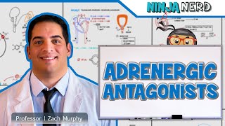 Autonomic Pharmacology  Adrenergic Antagonists [upl. by Sivehc]