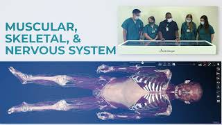 UNC Charlottes Virtual Cadaver Lab [upl. by Ellebyam]