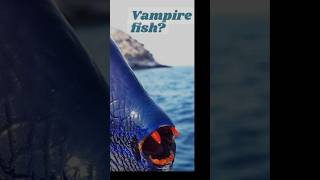 Unique fishes1 walking fish 2 vampire fish shorts ytshorts green explorer facts [upl. by Ayotahc837]