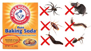 How To Use Baking Soda To Get Rid Of Roaches Ants Spiders Mice Bedbugs 30 Different Pest [upl. by Meerak]