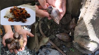 Pano Adobohin ang Susong Lupa  japanese snail adobo [upl. by Ainar74]