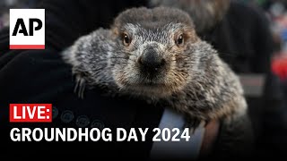 Groundhog Day 2024 Watch if Punxsutawney Phil sees his shadow [upl. by Piegari]