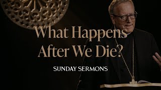 What Happens After We Die  Bishop Barrons Sunday Sermon [upl. by Alikat]