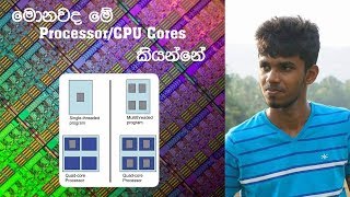 What Are The Processors  Cores  Threads  Sinhala [upl. by Apilef]