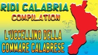 Il Calabrese  Luccellino della commare calabrese [upl. by Jahn]