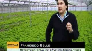 Agricultura de Precisión con Redes Sensoriales Inalámbricas Redes WSN  Proyecto SWAP [upl. by Devondra]