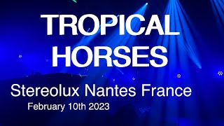 TROPICAL HORSES Live Full Concert 4K  Stereolux Nantes France February 10th 2023 [upl. by Isaacs]