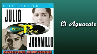 JULIO JARAMILLO EL AGUACATE  KARAOKE [upl. by Iclehc668]