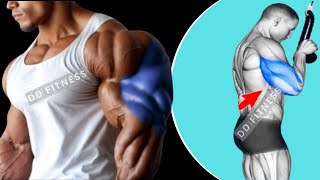 How To Do Triceps Workout At Gym For Begginers [upl. by Acirt]