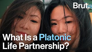 What Is a Platonic Life Partnership [upl. by Audie]