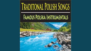 Gorale Polish Music Zasiali Górale Owies [upl. by Attezi902]