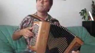 French Accordion [upl. by Ile]