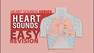 Cardiology  Heart Physiology II Muscle contraction and Pacemaker activity [upl. by Clauddetta]