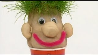 Mister Maker  Mister Grass Head Make [upl. by Neuburger301]