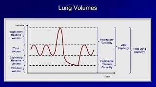 Pulmonary Function Tests PFT Lesson 1  An Introduction [upl. by Pinsky]