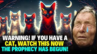 Baba Vanga WARNING IF YOU HAVE A CAT YOU MUST SEE THIS NOW – THE PROPHECY HAS BEGUN [upl. by Fannie]