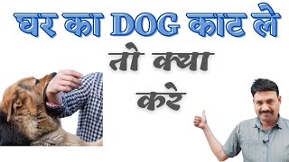 क्या आप के घर के डॉग ने काट लिया है 🤔 Ramawat Dog care [upl. by Aiehtela285]