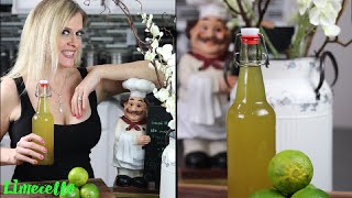 How to make Limecello  Lets get drinkin [upl. by Terraj736]