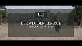 Der Weg eines Hengstes am Landgestüt Celle  Youngster SSieger und Ruhestandspferde [upl. by Nidraj]